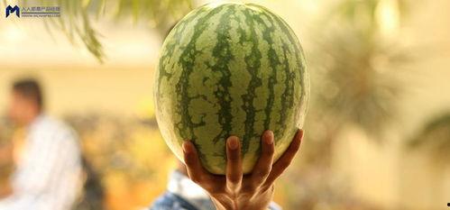 娱乐大瓜在线吃